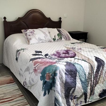 Willa Casa, T3 Porto-Aveiro Carregosa Zewnętrze zdjęcie